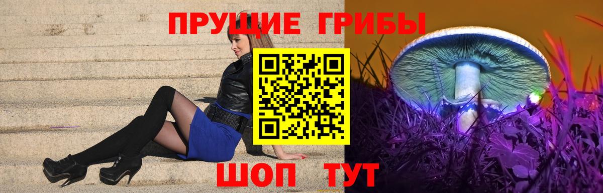 Калуга  Псилоцибиновые грибы Psilocybe  Вход с VPN 
